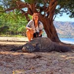 Komodo islands travel guide - komodo dragon